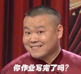  2015寒假搞笑表情包你作业写完了吗