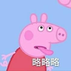 斗图照片大全表情包小猪