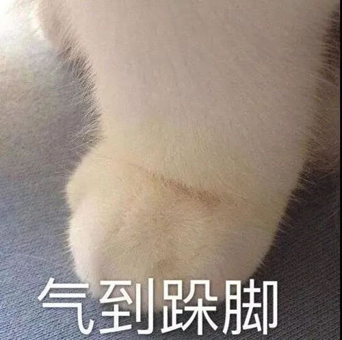  第127期聊天斗图必备表情包