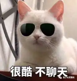  还有照着西游记里银角大王整脸的