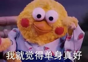  虽然恋爱自由,但这速度是不是有点快了