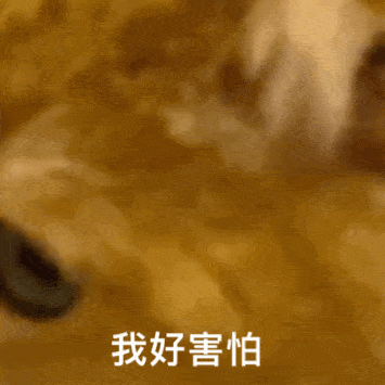  表情包我太难了啊