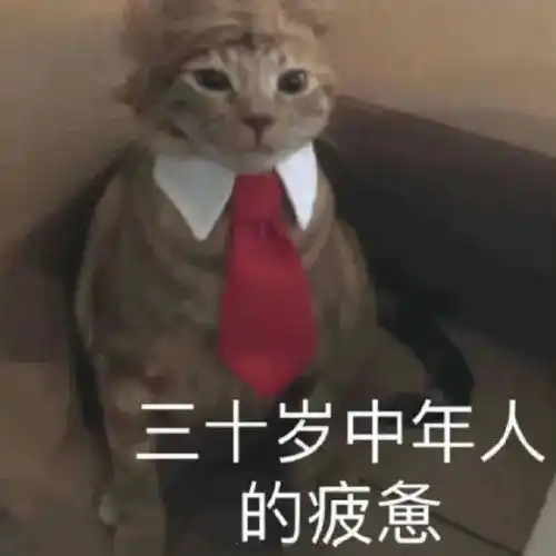  e句话看天下陈乔恩真的嫁给他了呀