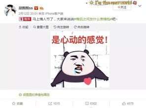  团团最有爱助攻︱情侣之间发什么表情包网友快马住,万一有对象了呢