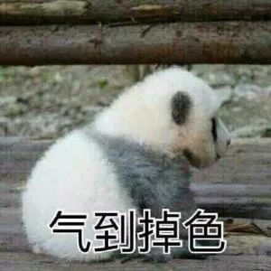  到底是谁怂恿杨紫去做线雕隆鼻的鼻子变成搓衣板了是有仇吗