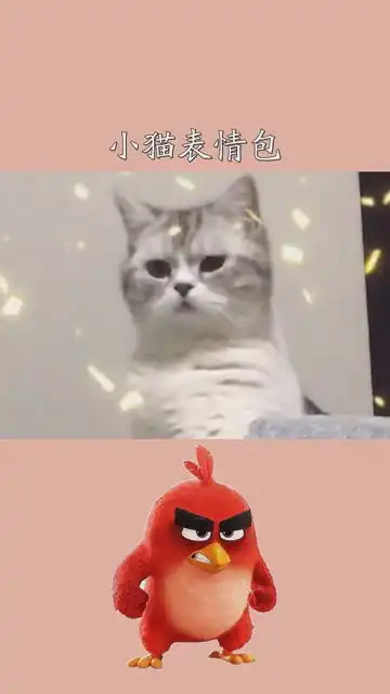  3年了,很多人喜欢我的问号小猫表情包,但却不知道我叫利利酱问号小猫咪百万视友赐神评