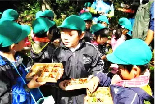  森林幼儿园在中国教育市场应该拥有一席之地