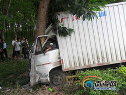  白沙货车疯狂撞向大树消防成功救援被困司机