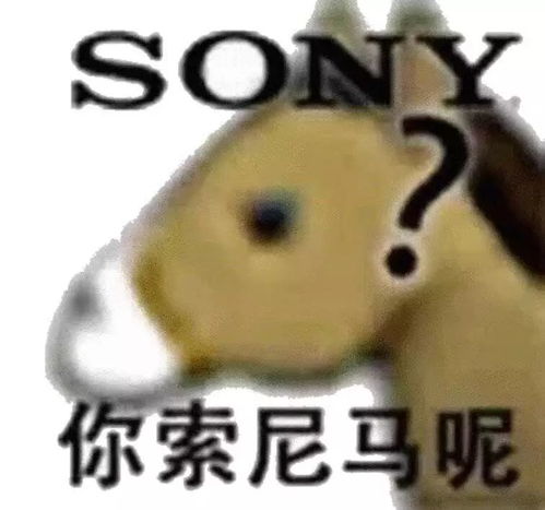  上海这些阿姨爷叔真拼啊为了一碗免费牛肉面,排队排到另一条街