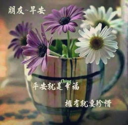  最美早安问候图片带字朋友圈早安祝福语图片带字