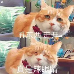  论女生拒绝喜欢自己的男生时的心情