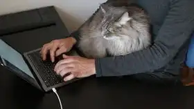  揭秘汤姆猫的隐藏表情包