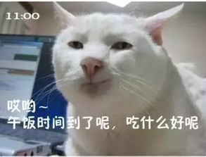  人均4050,狂造一大锅这家店香的只能靠抢