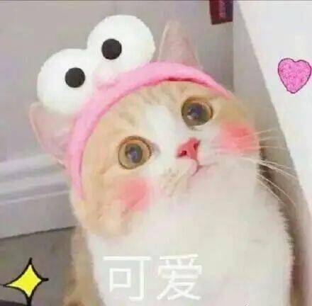 真是头大颜文字君表情包