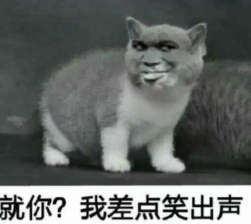  怼人斗嘴表情包其实大家都不喜欢你,只是在等你退群