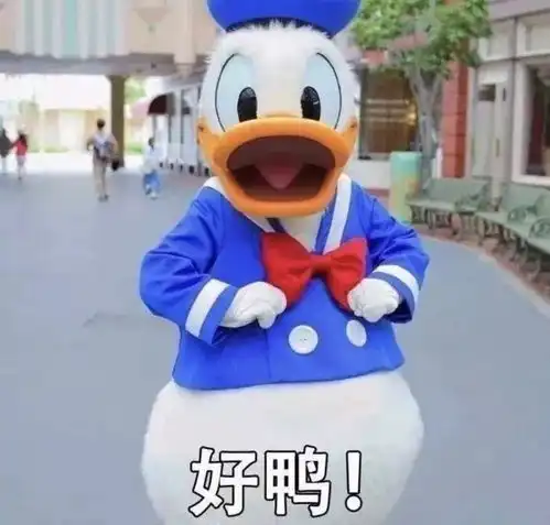  校会招新丨诺,你们要的办公室大佬来了