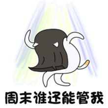  1111看起来这就像小编手抖了,但绝对是超强指南