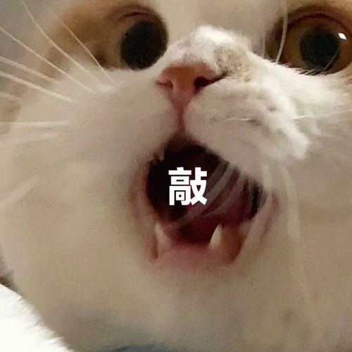  不要慌,问题不大