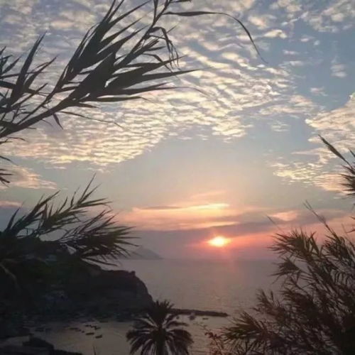  你可能缺的背景图