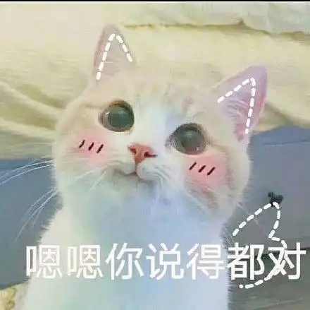  你不必成为戴安娜