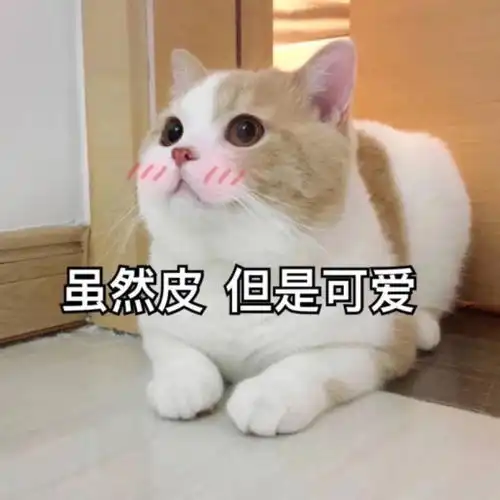  动漫中那些如同白马王子般的角色,前三名很陌生的