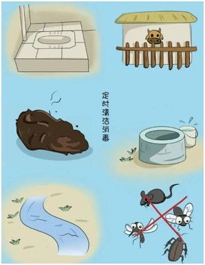  防疫小知识丨春节期间,农村地区疫情防控要这样做