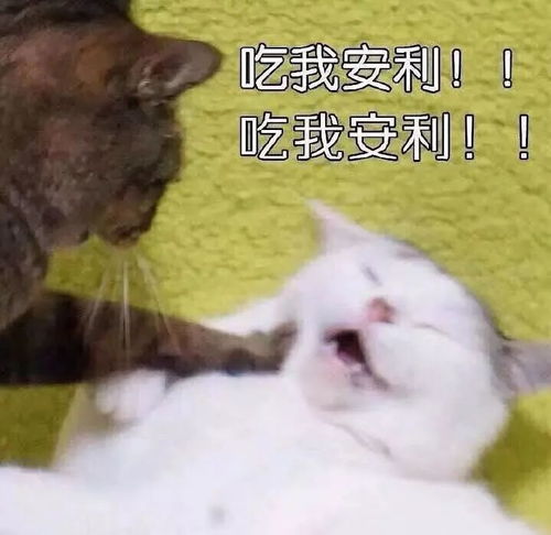  能跪着叫爸爸的神作,我只服它