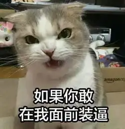  谁还有这个表情包