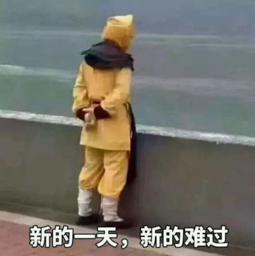 套你猴子表情包查谟