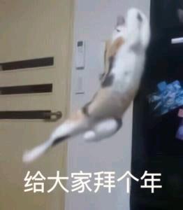  玄元剑仙道友烩龙王大闹年关