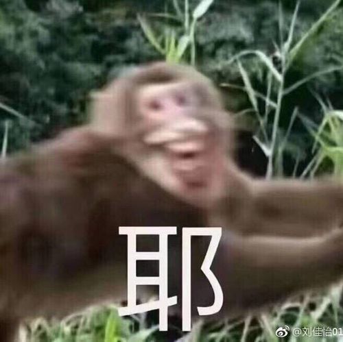  可以二周目的影视