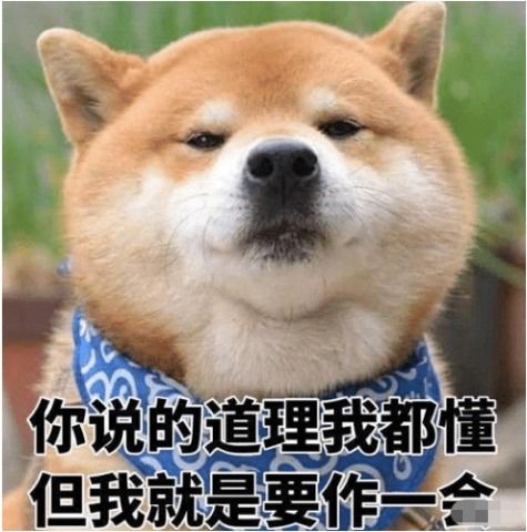  估计这就是我们小区地下车库招不到保安的原因了吧哈哈哈