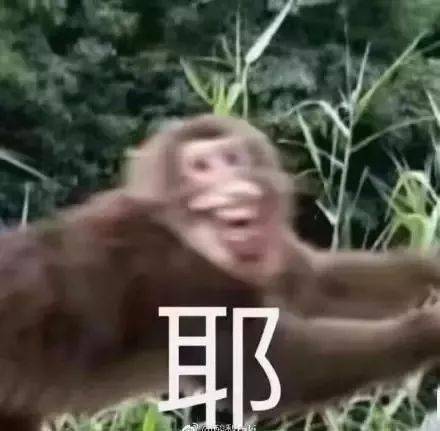  膨胀重庆千万豪宅榜单,看看你最爱哪一个