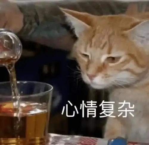  喝了一口奶茶自热锅,我的心直接凉了