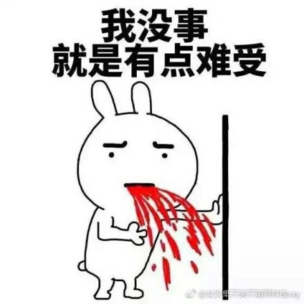 起飞表情包我哭了