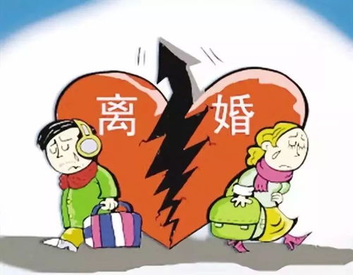 离婚的头像