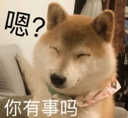 谁喝酒谁是狗表情包汪星
