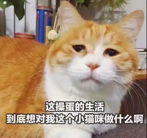  你曾经做过最羞耻的事是什么