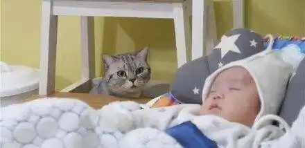 想吃小孩猫咪表情包回来