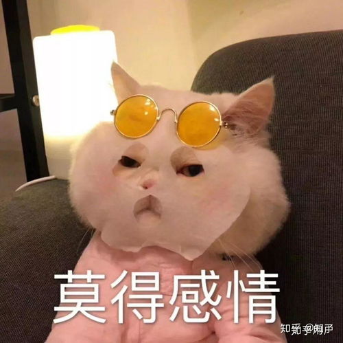  如何以我怀疑有人暗恋我为开头写一篇小说