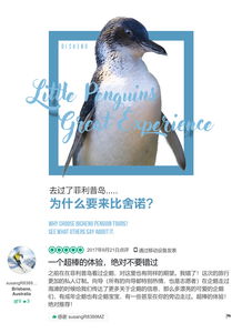  塔斯马尼亚比舍诺小蓝企鹅归巢门票小团活动自驾推荐