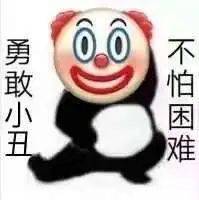  我熊猫永不服输