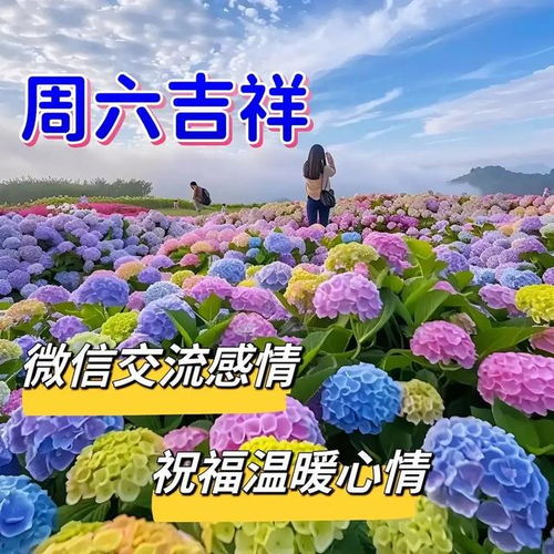 2024年6月29日农历五月廿四祝福图片星期六最新问候美图周六愉快