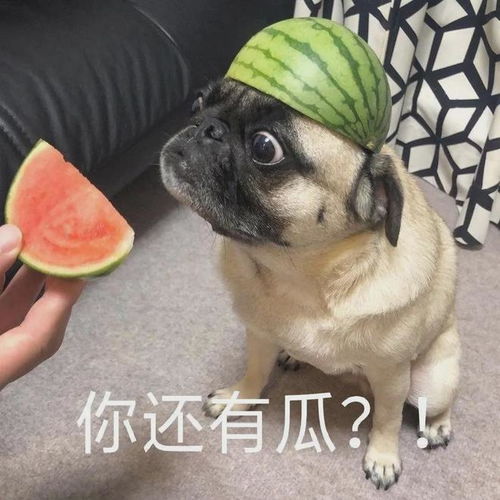  荒唐两主任医生为争女护士大打出手一人被打进icu