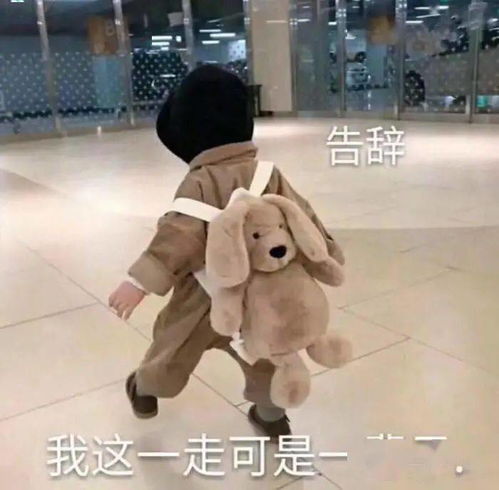 笑而不语表情包经典罗熙