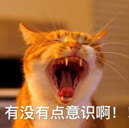  王者荣耀咆哮表情包打个游戏嗓子都要吼哑了