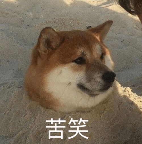  隆阳区科协科普知识专栏丨跑步总是岔气速速自查有没有做到这四点