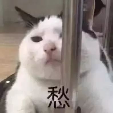  专家支招春季仍为流感高发期,儿童老人和孕妇是易感人群,该如何预防