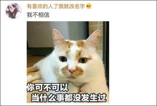  我今天还在用的表情包,它昨天去世了社会频道