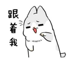  铲屎君受委屈了沈阳猫被邻居老鼠夹夹伤,为救猫手却被咬成大馒头